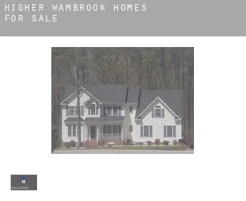 Higher Wambrook  homes for sale