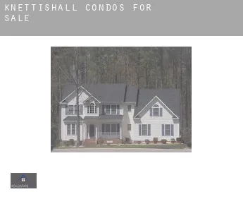 Knettishall  condos for sale