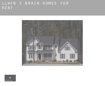 Llwyn-y-brain  homes for rent