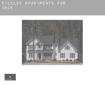 Pilsley  apartments for sale