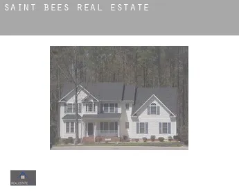 Saint Bees  real estate