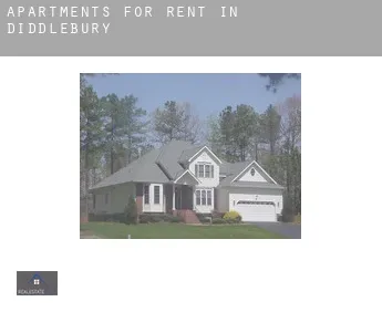 Apartments for rent in  Diddlebury