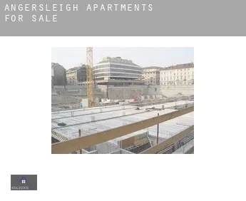 Angersleigh  apartments for sale