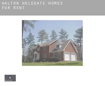 Halton Holegate  homes for rent